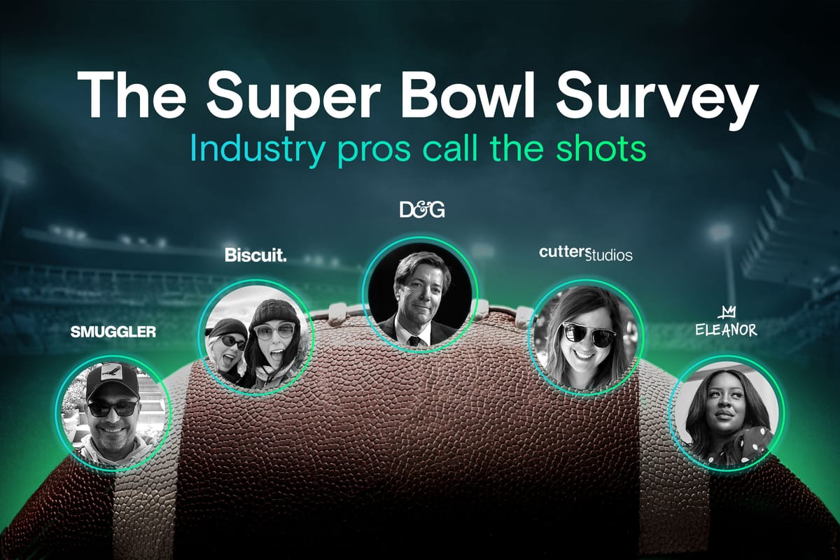 The Super Bowl Survey - Industry pros call the shots